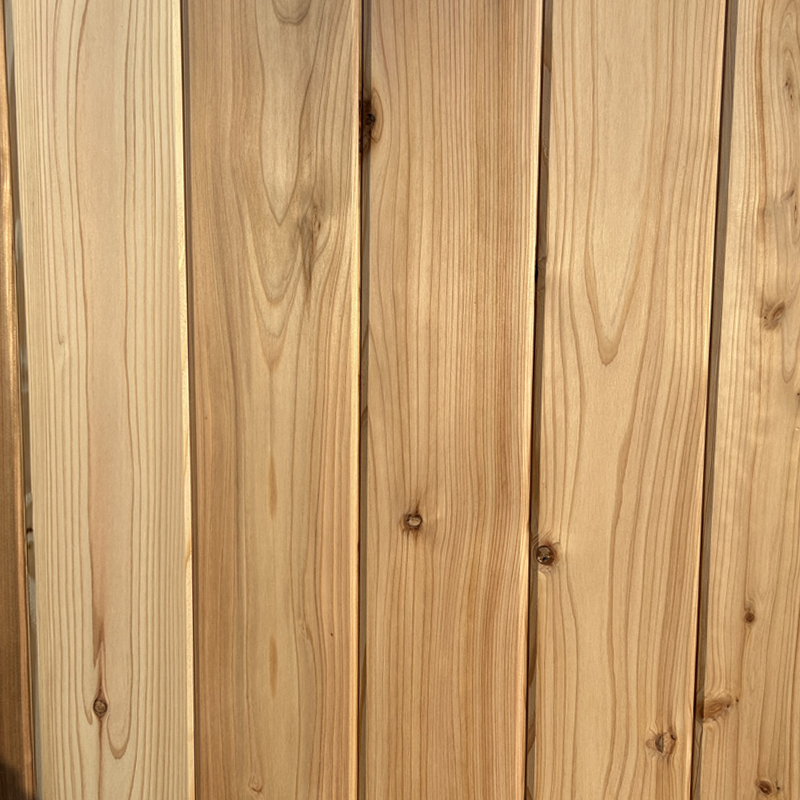 Japansk Sugi tregjerde